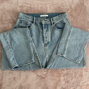 Pacsun Distressed Baggy Denim Jeans